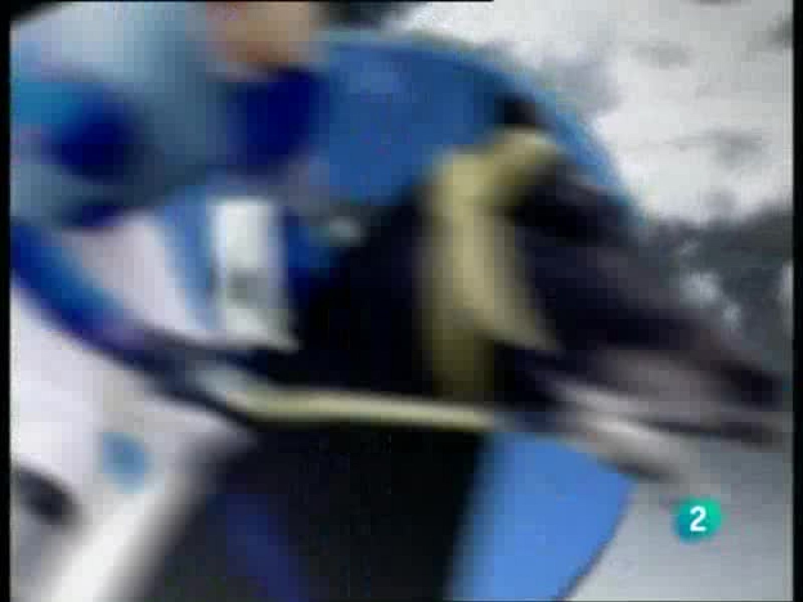 Turf - 27/08/09 - Turf | Ver