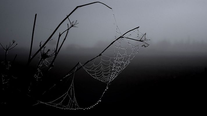 El tiempo - Nubes bajas, brumas y bancos de niebla matinales en general, en el interior peninsular y Mallorca