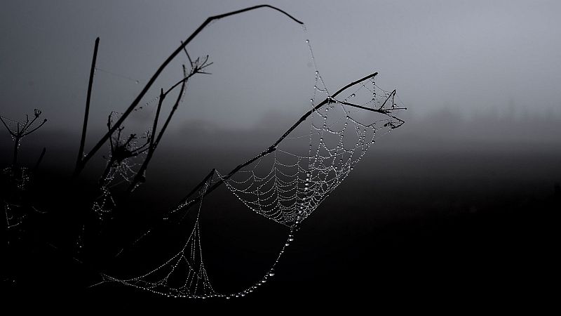 Nubes bajas, brumas y bancos de niebla matinales en general, en el interior peninsular y Mallorca - Ver ahora