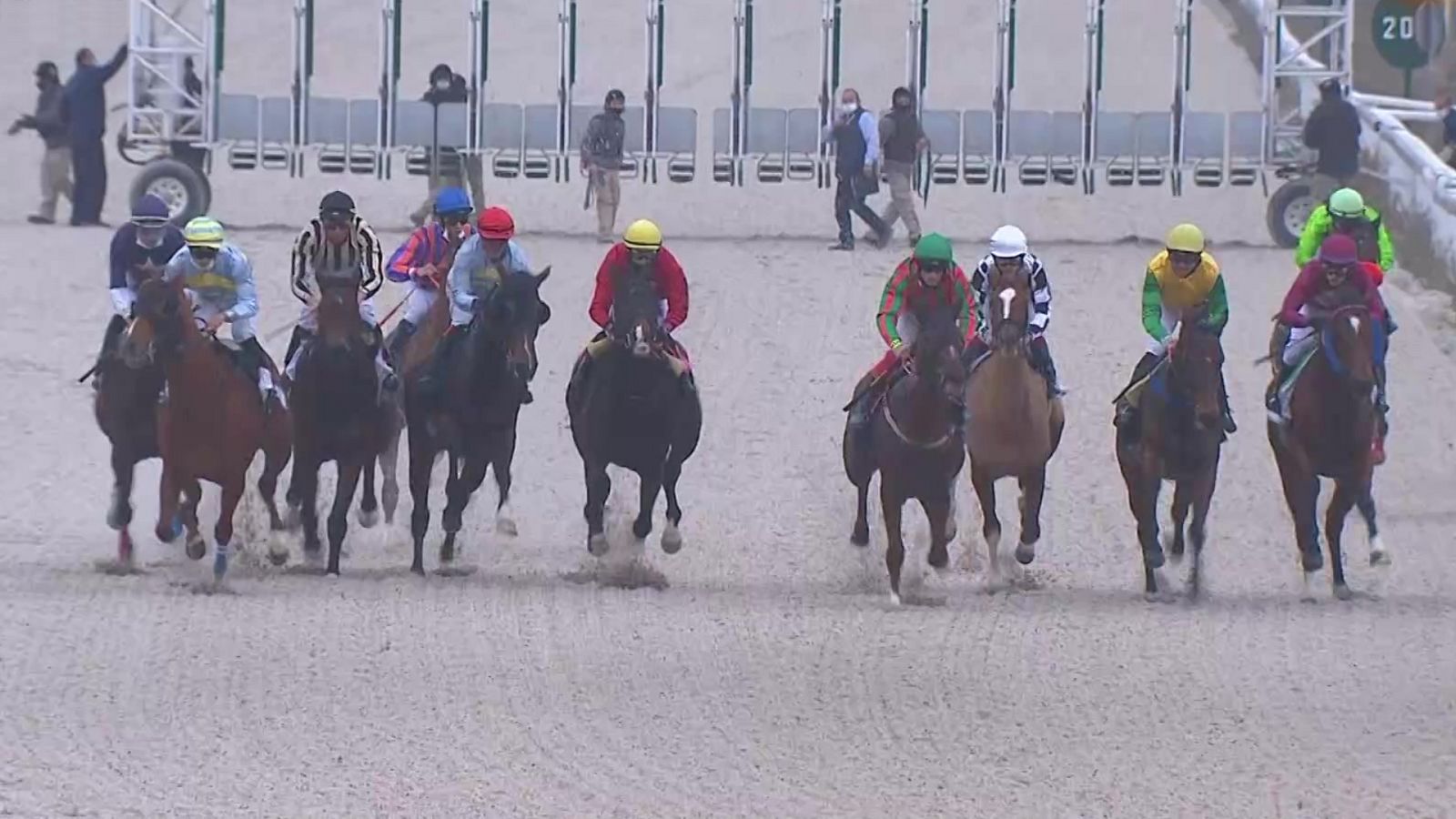 Hípica - Circuito nacional de carreras de caballos, desde el Hipódromo de la Zarzuela. - ver ahora