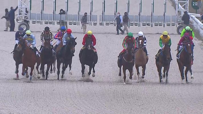 Hípica - Circuito nacional de carreras de caballos (Hip.la Zarzuela)