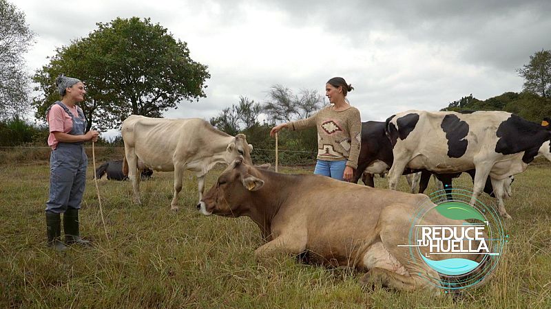 Reduce tu huella - Mulleres galegas - ver ahora
