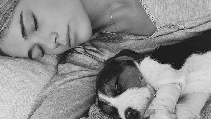 D Corazón - Enrique Ponce y Ana Soria, muy preocupados por su perrito