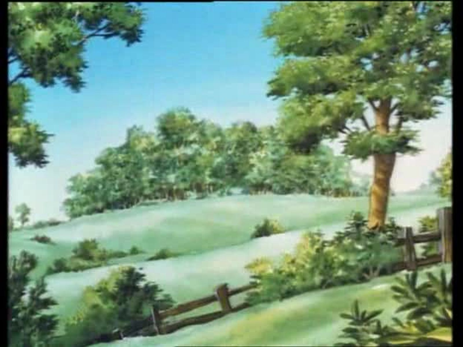 Los animales del bosque | Ver