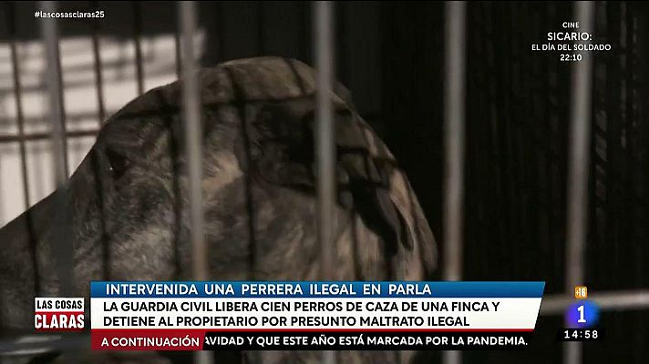 Las cosas claras - Liberados 100 perros de caza abandonados y maltratados