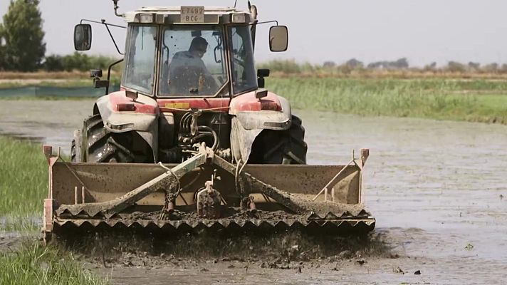 Red Natura 2000 - Programa 9