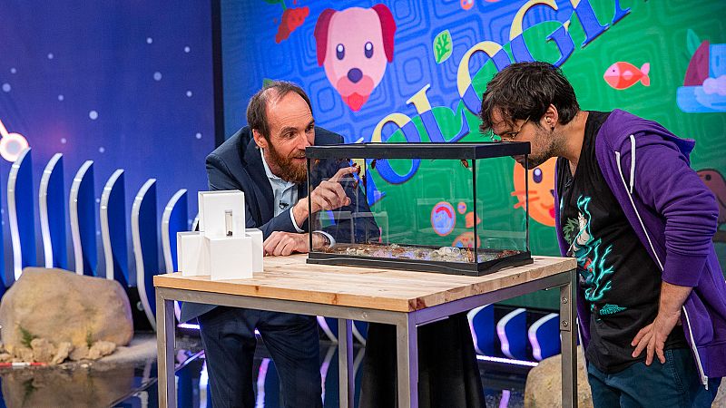 Órbita Laika - T6 - Programa 12: Un mundo bajo nuestros pies