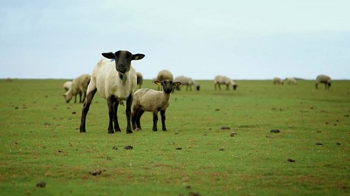 Exploradores del sabor - Francia