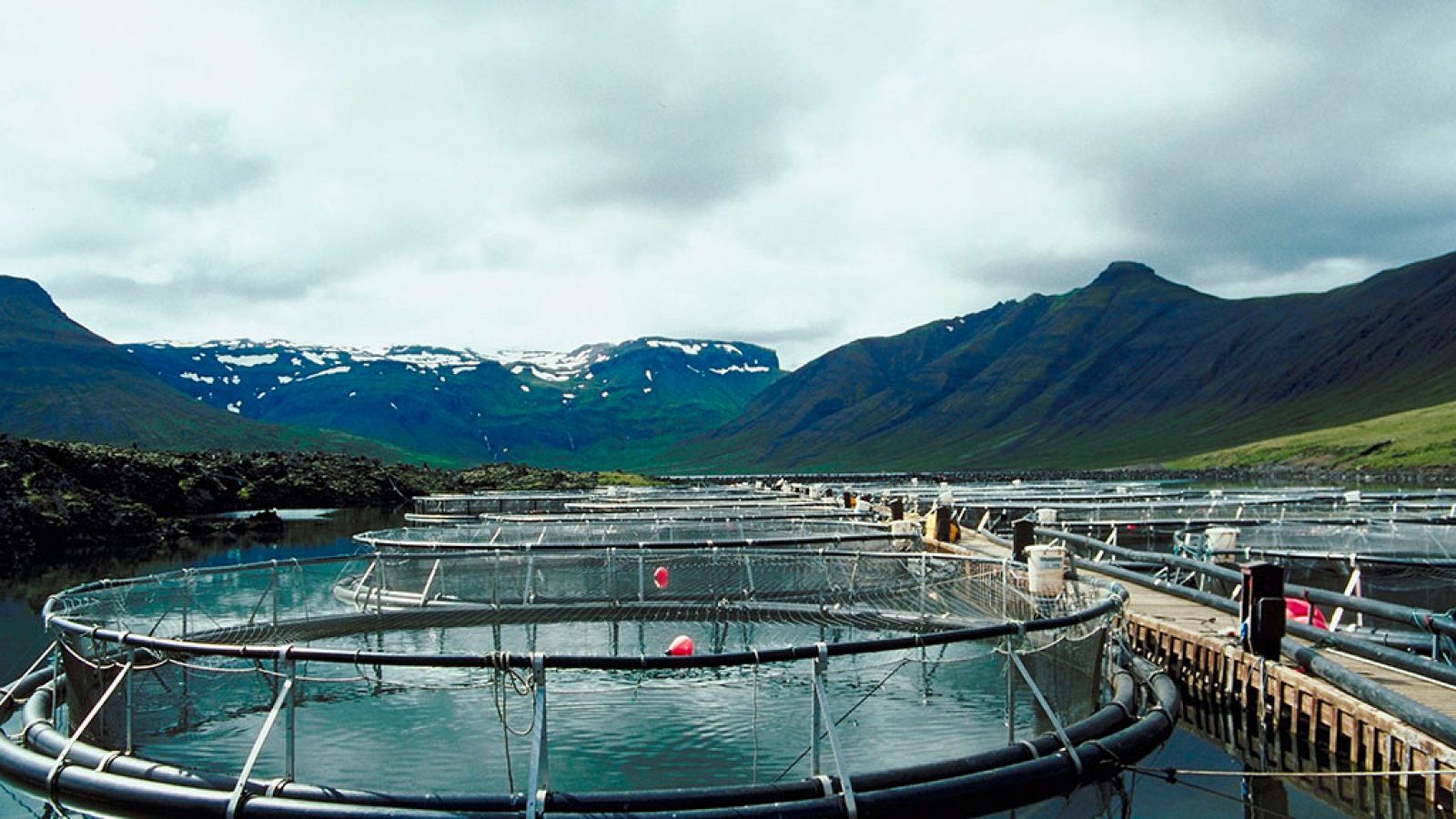 Exploradores del sabor - Episodio 6: Islandia - ver ahora