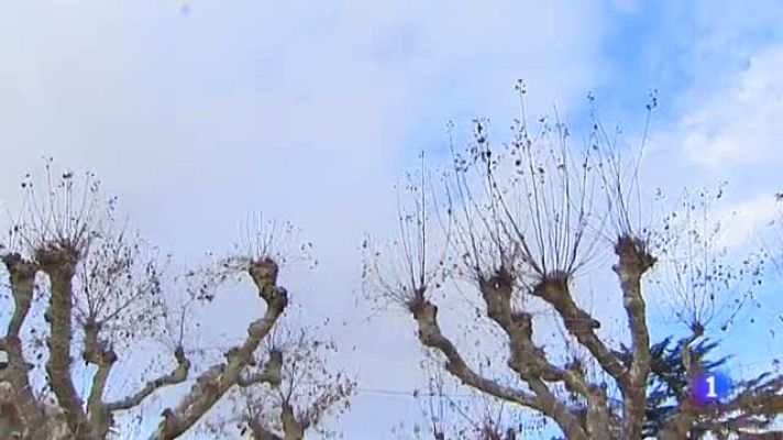 Informativo Telerioja - El tiempo en La Rioja - 29/12/20