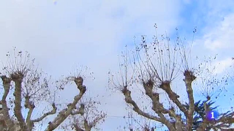 El tiempo en La Rioja - 29/12/20-Ver ahora