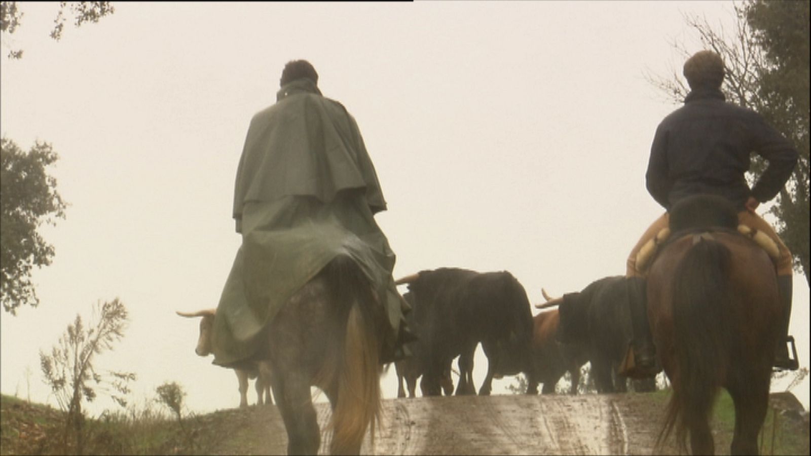 Tendido cero - 02/01/21 - ver ahora