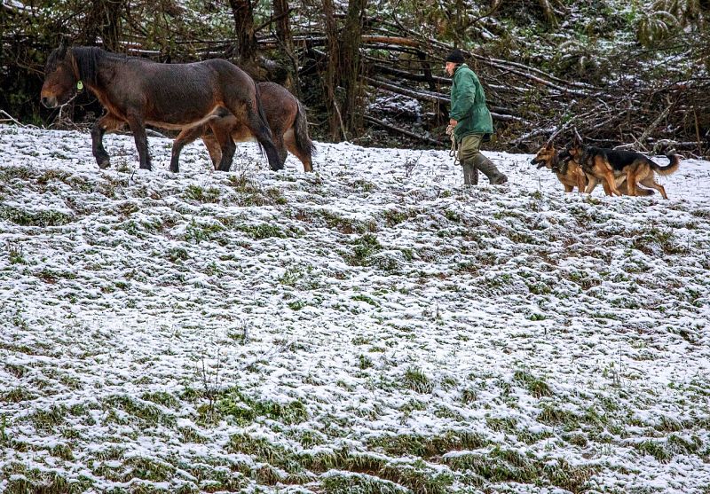 La llegada de una nueva borrasca trae más frío y nieve - El tiempo | Ver