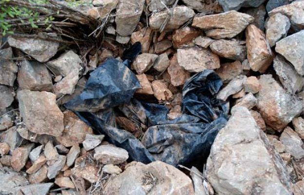 Informe Semanal - ETA, en el zulo