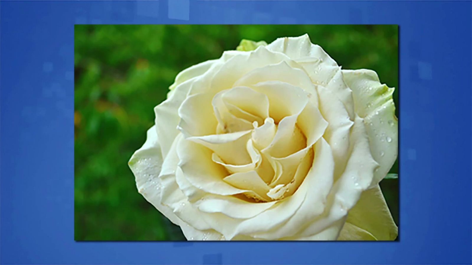 Saber y ganar - 05/01/21 - ver ahora