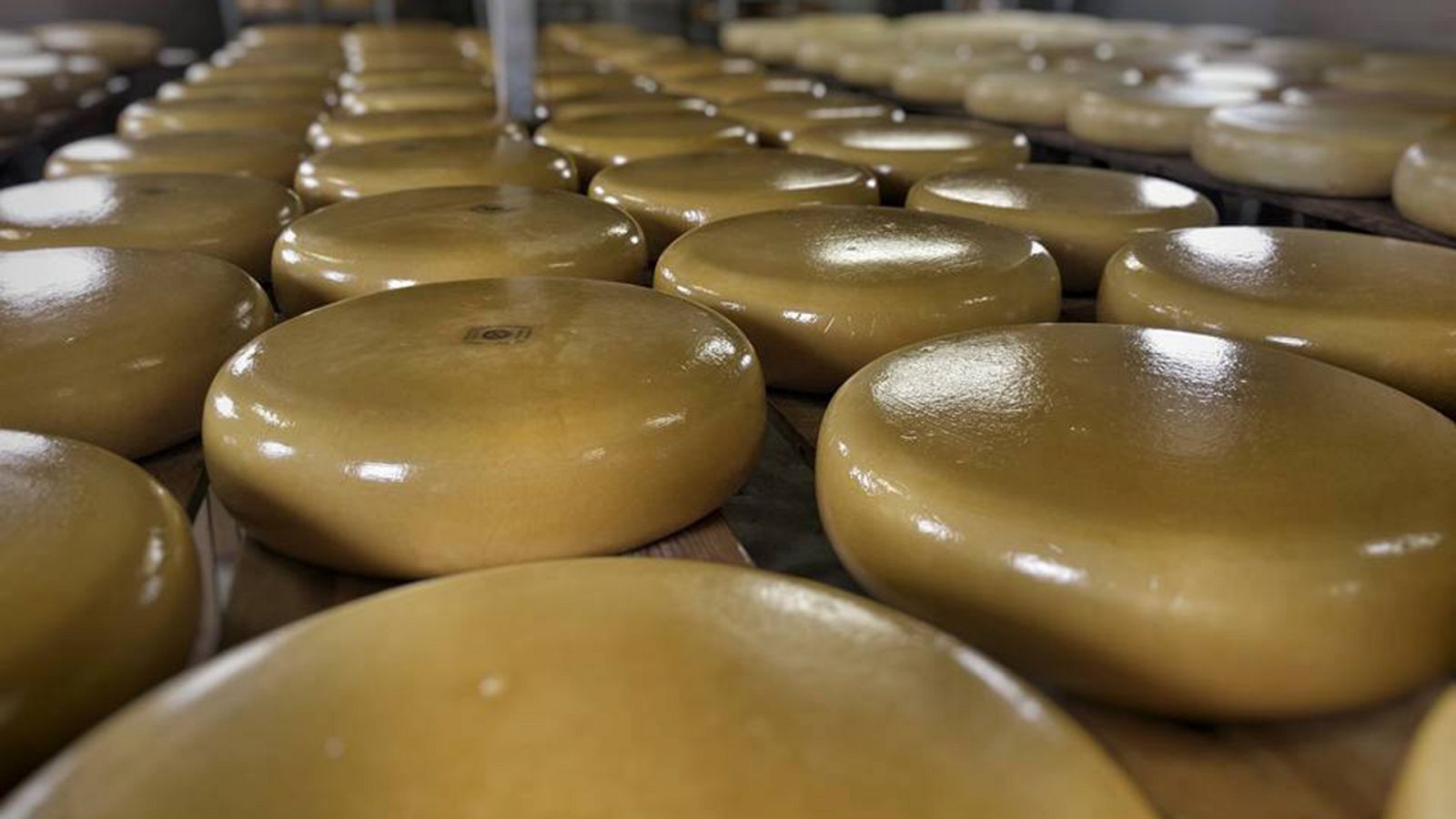 Otros documentales - Exploradores del sabor: Países bajos - ver ahora