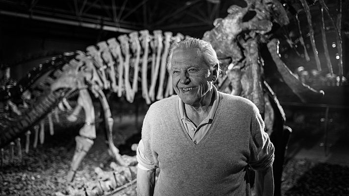 El ascenso de los animales con David Attenborough - Desde el mar hasta el cielo