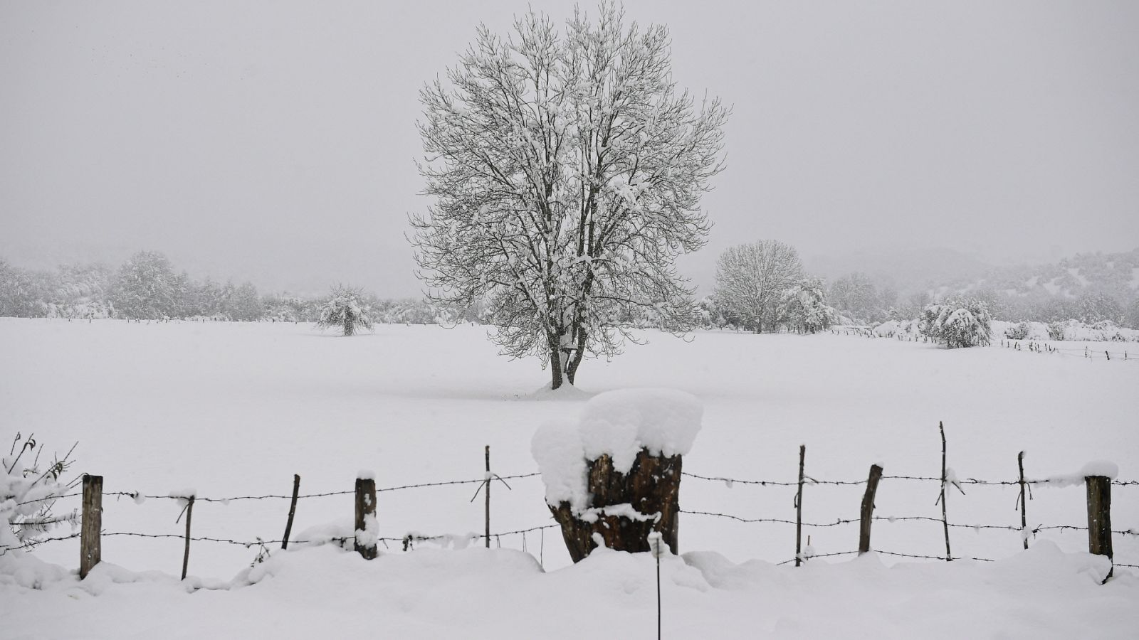 Aquí la Tierra - 07/01/21 - ver ahora
