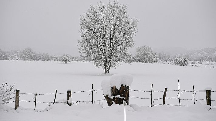Aquí la Tierra - Aquí la Tierra - 07/01/21