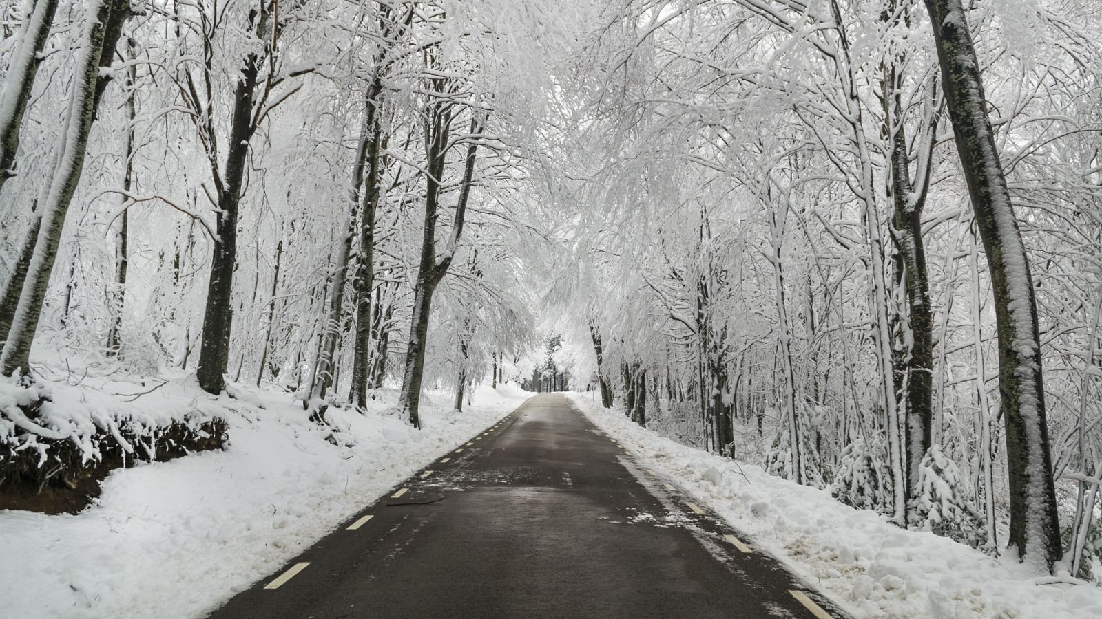 Cotas de nieve bastante bajas - Ver ahora