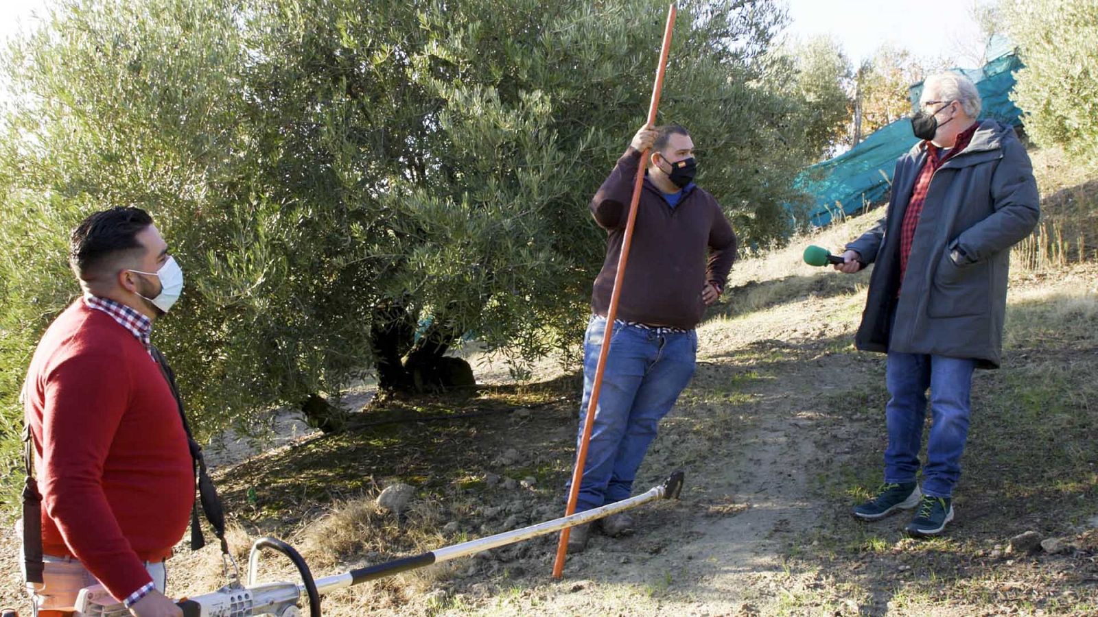 El Paisano - Programa 8: Iznatoraf - ver ahora