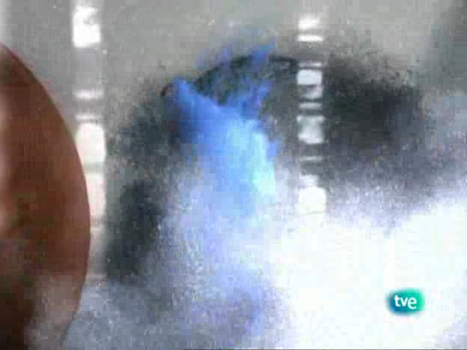 tres14 - Pere Vila - tres14 | Ver