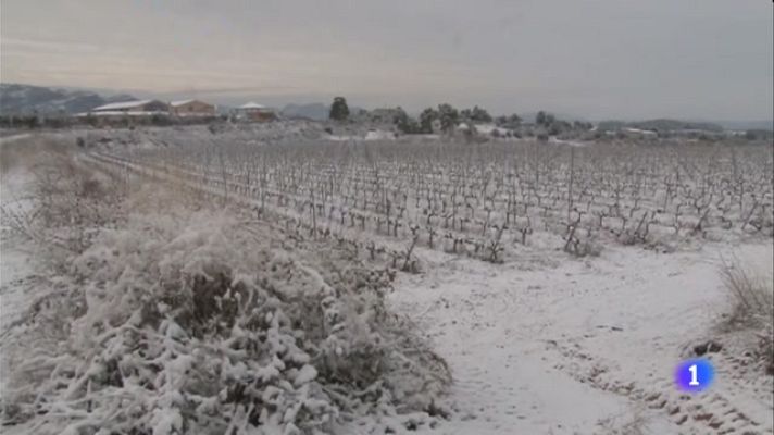 L'Informatiu - L'Informatiu - 08/01/2021