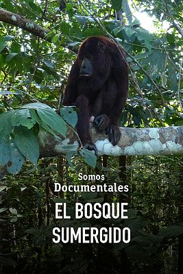 Somos Documentales - El bosque sumergido