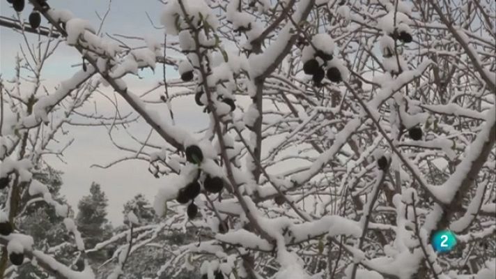 L'Informatiu - El Vespre - 08/01/2021