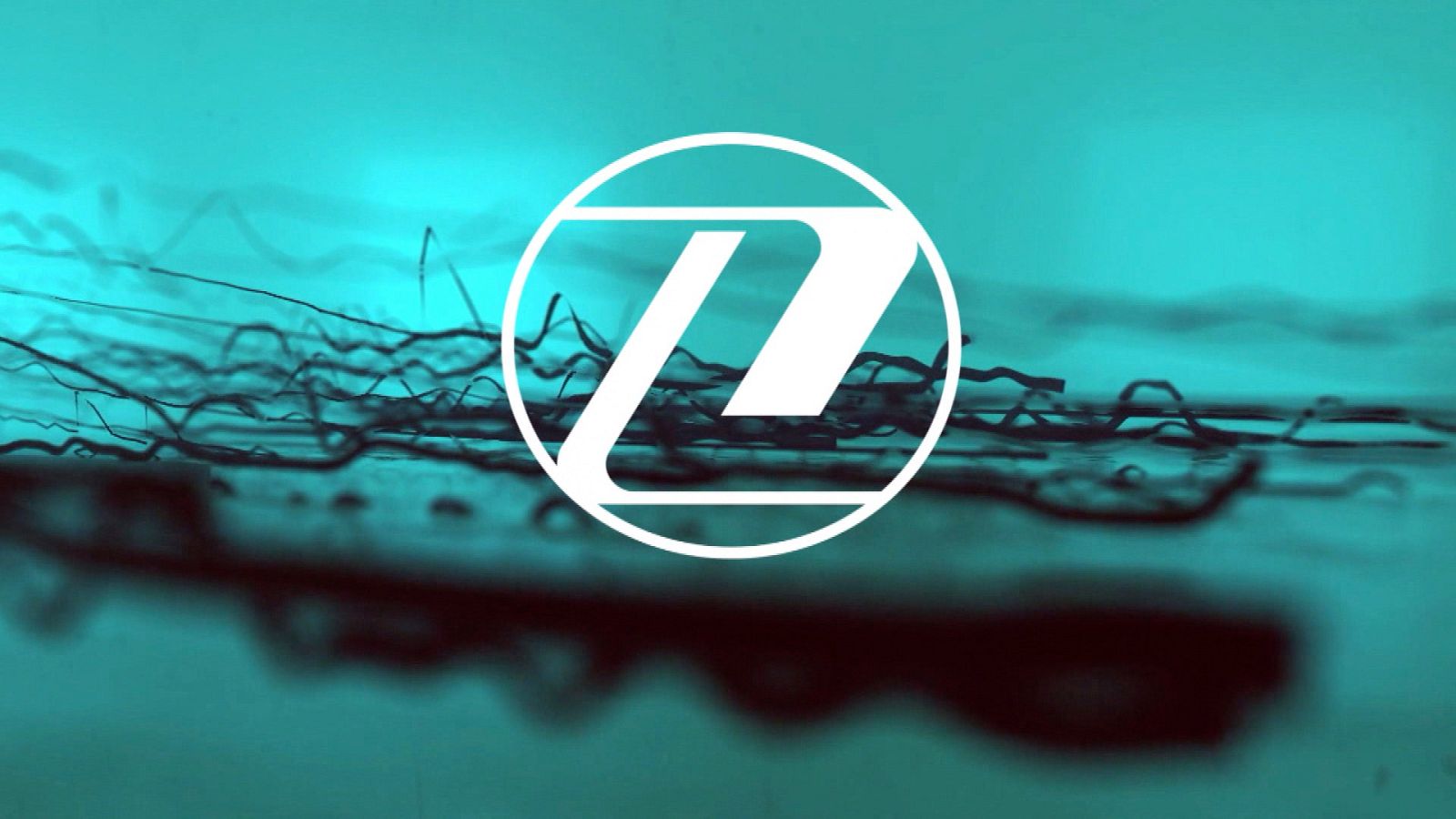 Zoom Net - Resumen 2020 - ver ahora