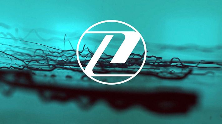 Zoom net - Resumen 2020