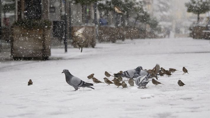 El tiempo - Tras Filomena, una ola de frío afectará a la península