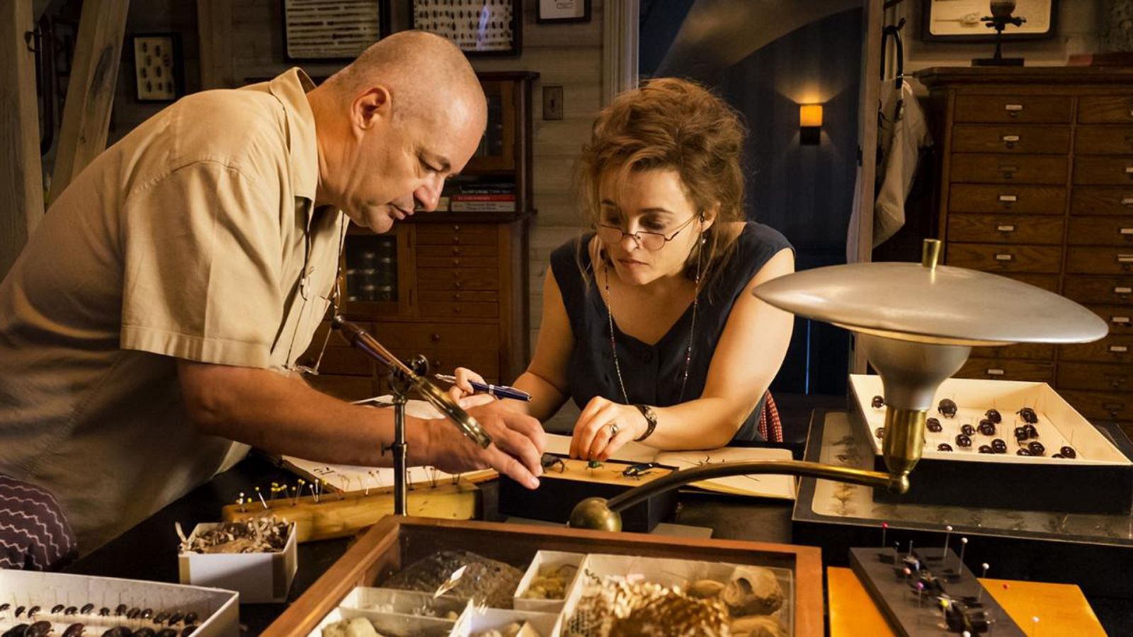 El cine de La 2 - El extraordinario viaje de TS Spivet - ver ahora