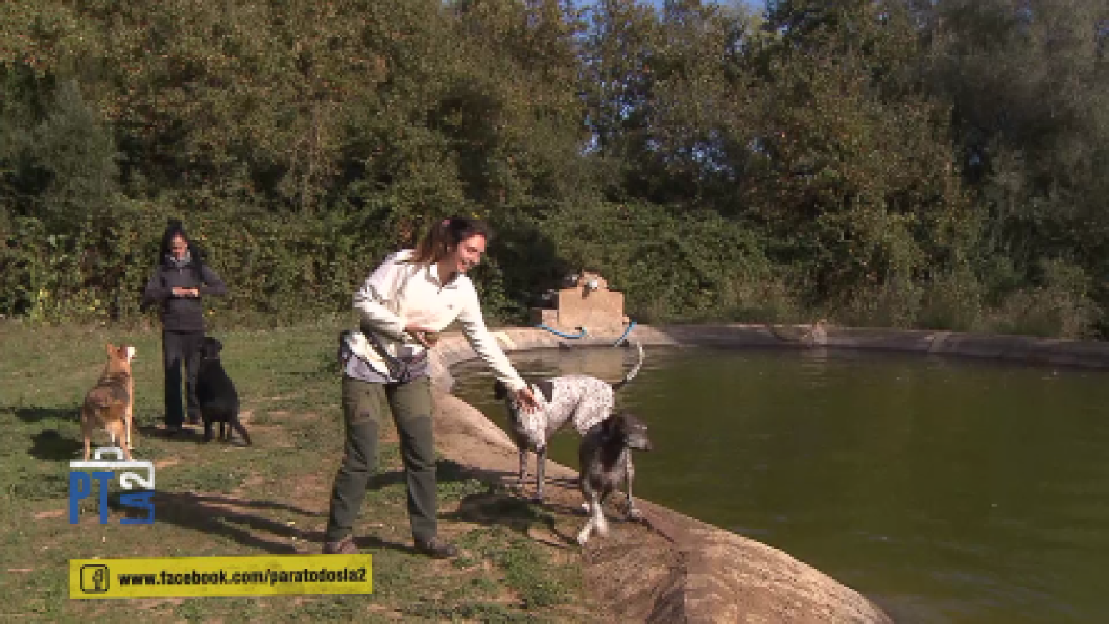 Contra el abandono de los animales domésticos