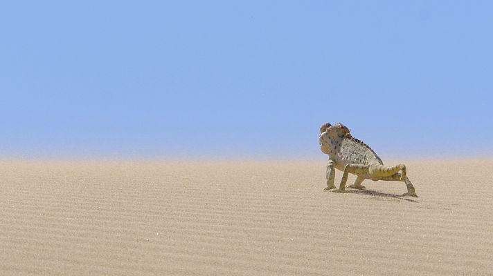 Grandes documentales - El valle indómito: El gran meandro