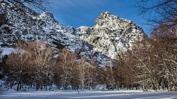 España Directo - España Directo - 11/01/21
