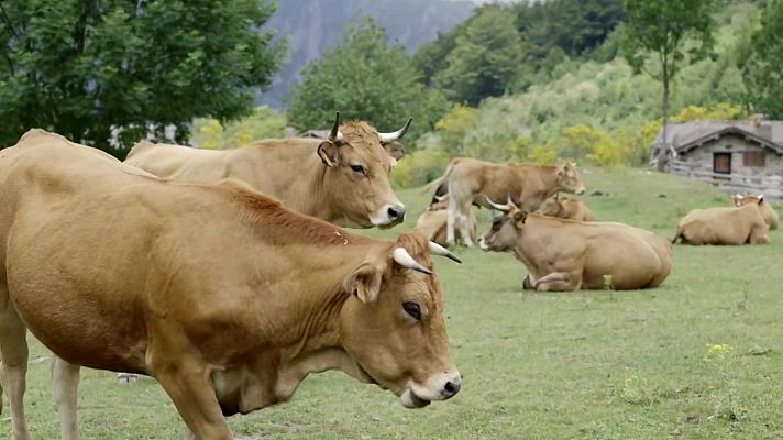 Red Natura 2000 - Programa 13