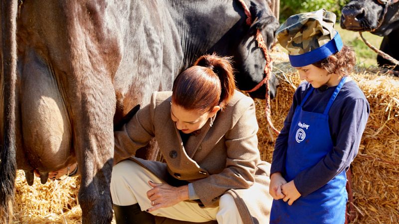 Javier y Henar, a la aventura de ordeñar vacas y cabras | Ver