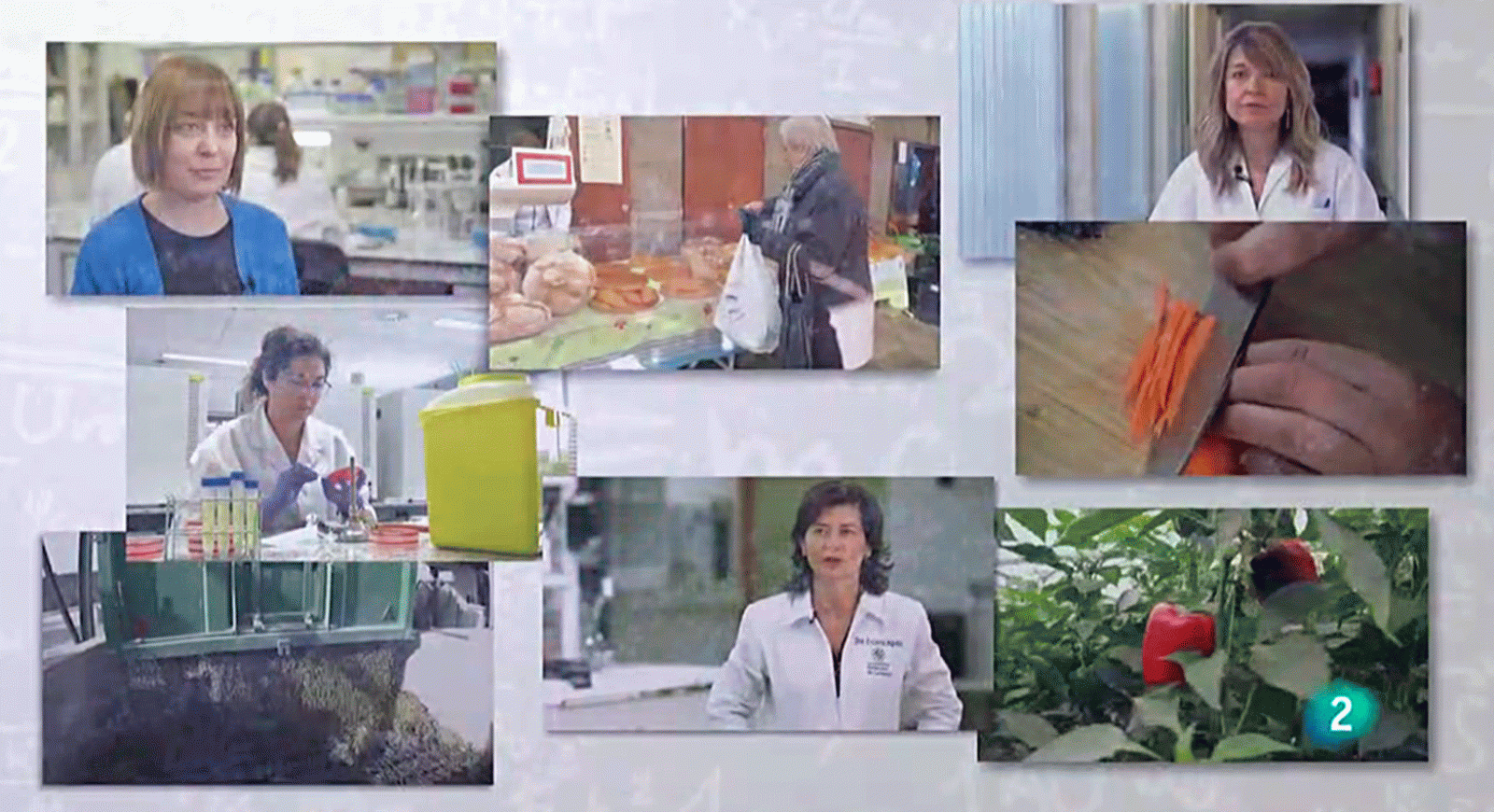 La aventura del saber Universo Sostenible Son lo mismo alimentacion y nutricion obesidad salud #AventuraSaberSostenibilidad