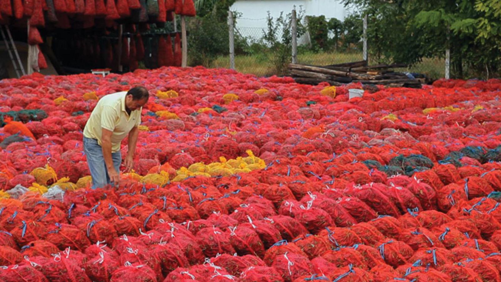 Otros documentales - Mercados, en el vientre de la ciudad: Budapest, Kozponti Vasarcsarnok - ver ahora