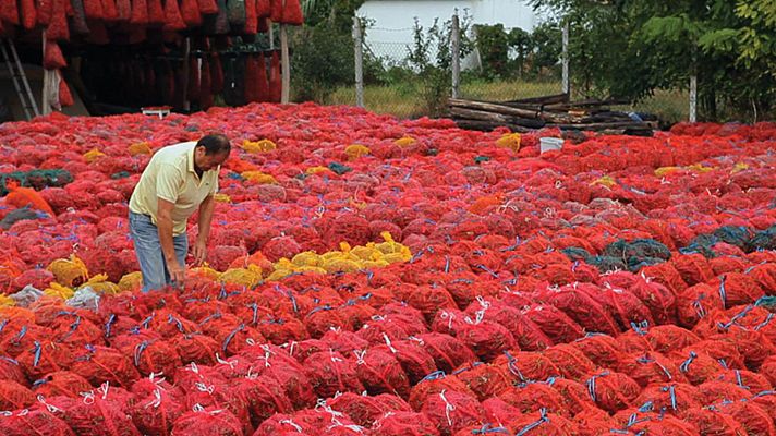 Otros documentales - Mercados: Budapest, Kozponti Vasarcsarnok