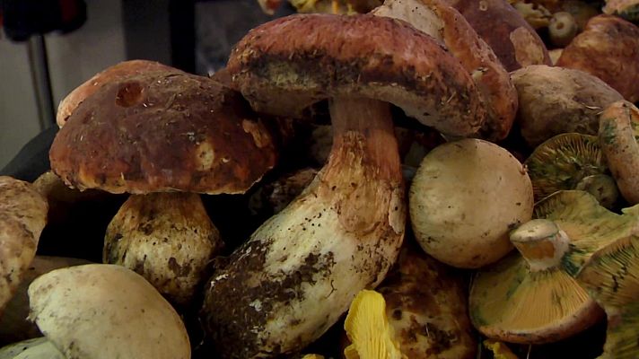 Aquí la Tierra - Aquí la Tierra - 13/01/21