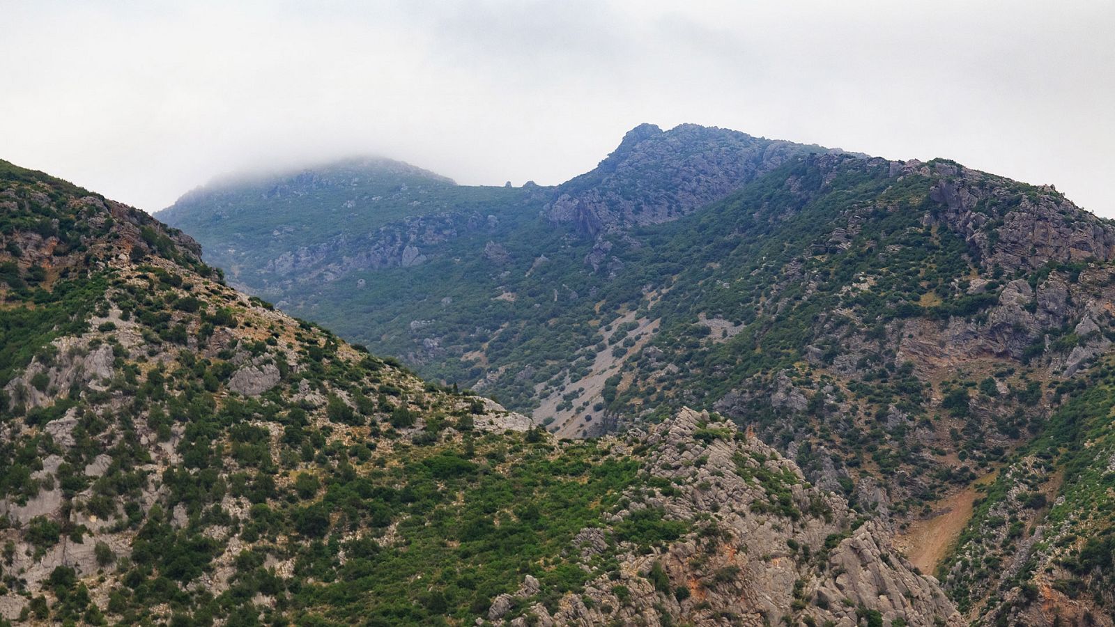 Turismo rural en el mundo - Marruecos: las montañas del Rif - ver ahora