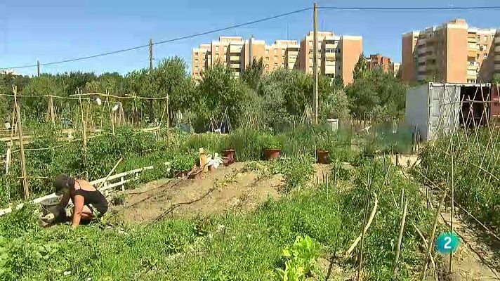 La aventura del Saber - Ciudades por la agroecología