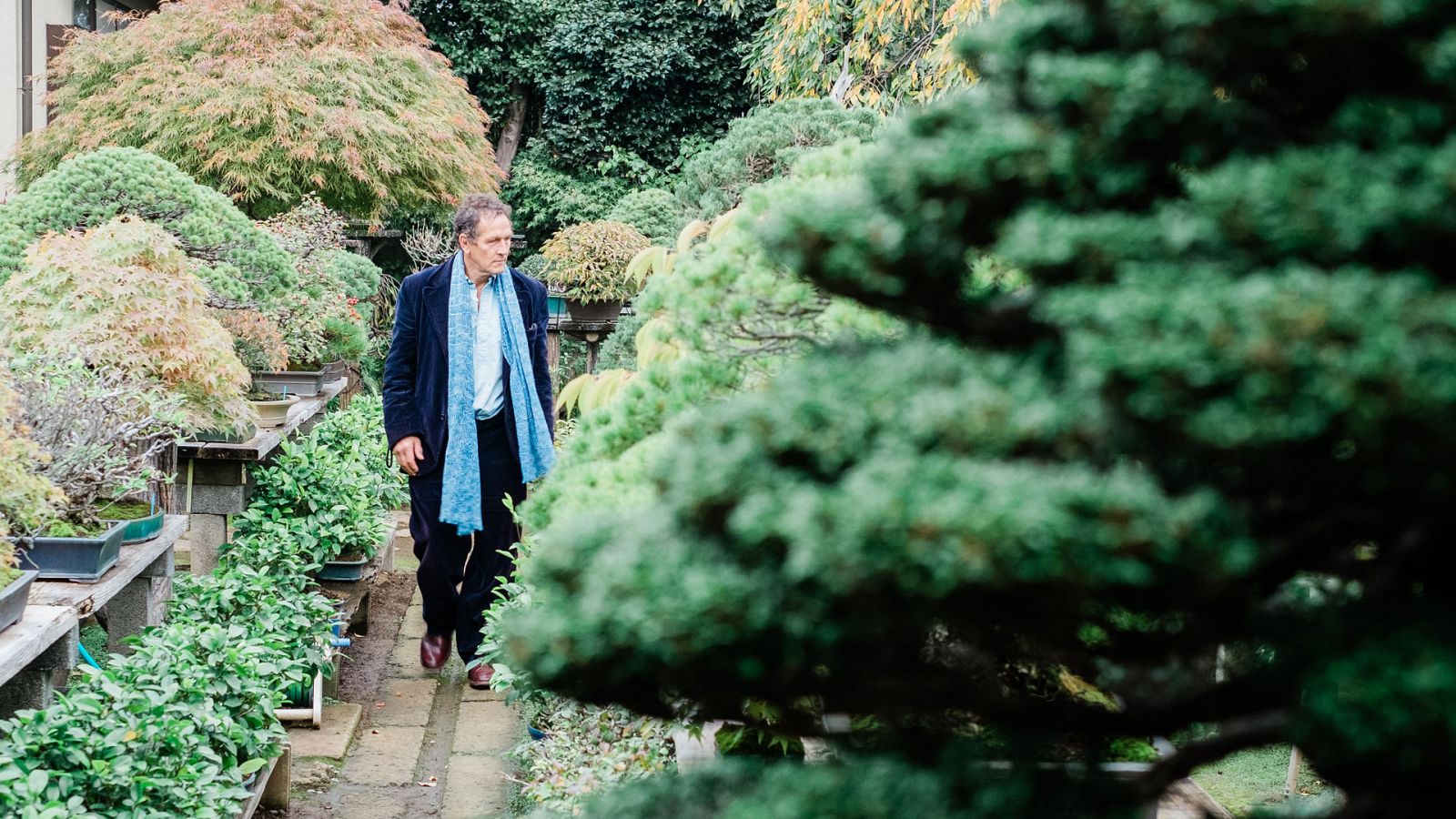 Los jardines japoneses de Monty Don - Episodio 2: Otoño - ver ahora