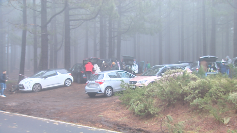 Telecanarias 2 - 12/01/2021