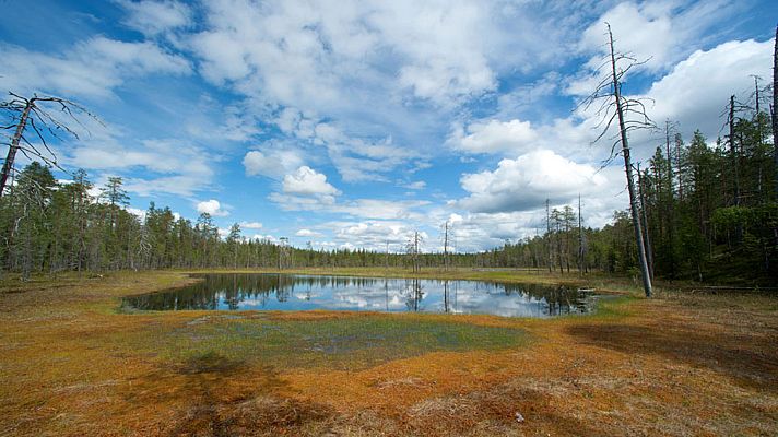 Grandes documentales - La Turbera