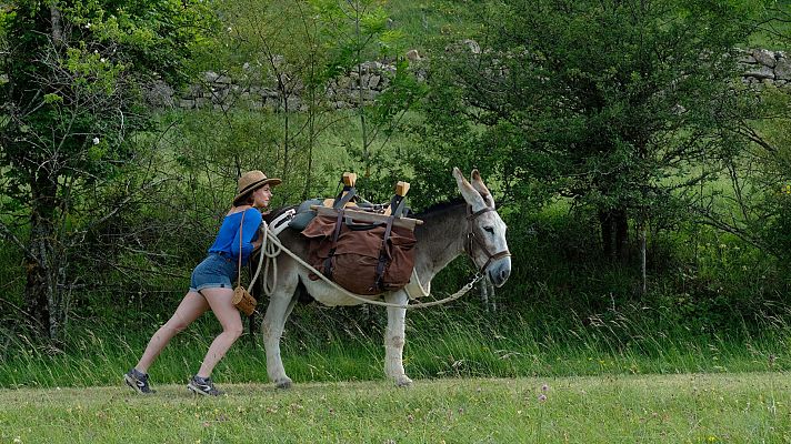 Días de cine - Días de cine - 15/01/21