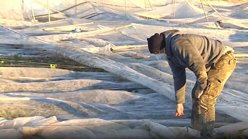 Los agricultores de Aragón sufren daños sin precedentes tras el temporal: "Es la primera vez en mi vida que lloro por el campo"