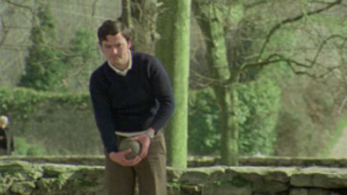 Raíces - Bolos de revolgo. Pinos de Pollensa